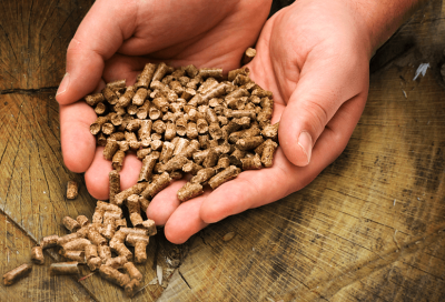 hands with wood stove pellets