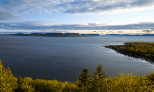 Scenic view of lake surrounded by trees