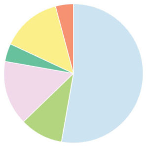 Pie chart v1 031022 blank